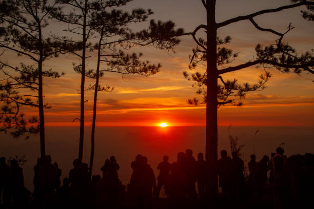 istock Sunrise at the Phu Kradueng National Park. 1288639551