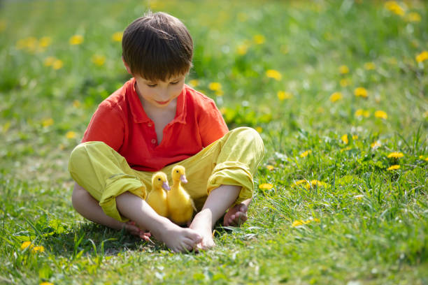 Asian boy playing with water by the pond