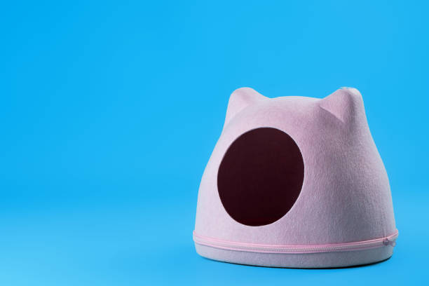 istock Pink cat's house on blue background close up 1288641325