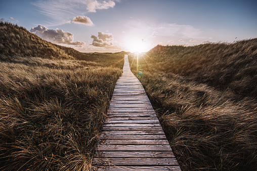 Boardwalk in the sun