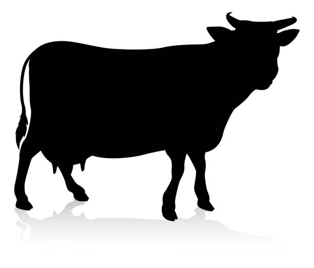 Cow Farm Animal Silhouette A farm animal silhouette of a cow british beef cow stock illustrations