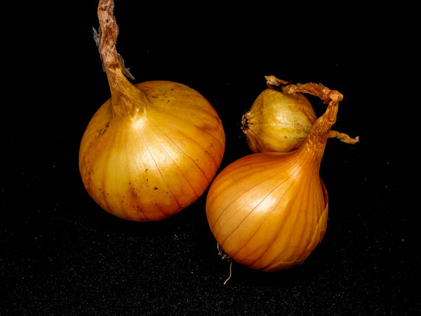 istock three yellow onion heads on a black background 1288643477