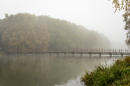 Foggy autumn morning at Lake Gebart in City Zalaegerszeg, Hungary