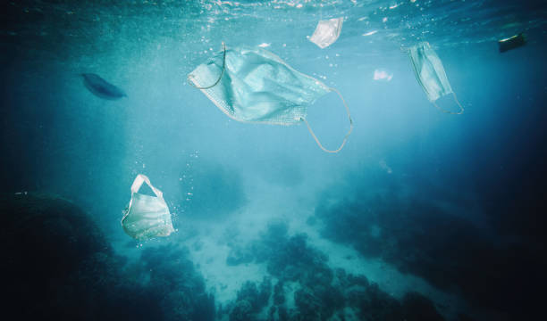 istock surgical mascheine floating in the sea. 1288649641