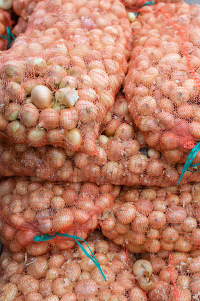 istock Onion packed in the hall ready for shipment 1288651513