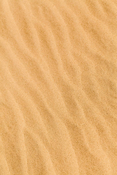 istock Yellow desert sand with diagonal wave patern. 1288651598