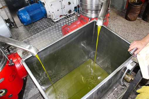 Extra virgin olive oil extraction process in olive oil mill located in the outskirts of Athens in Attica, Greece.