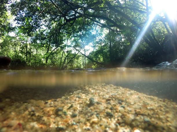 istock Crystal clear water in Currency 1288653554