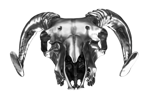 3D render of Metalic Ram Skull isolated on white. Front view.