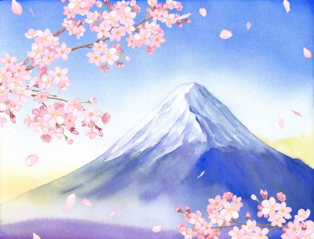 frühlingslandschaft in japan. blick auf kirschblüten und mt. fuji. aquarell-illustration - dormant volcano illustrations stock-grafiken, -clipart, -cartoons und -symbole