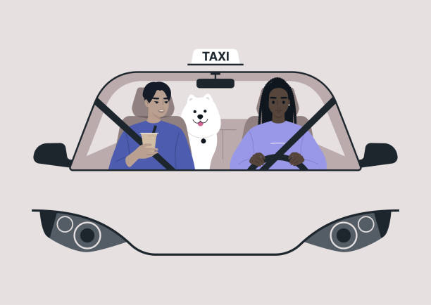 вид спереди такси, водитель и пассажир на переднем сиденье с собакой на заднем сиденье, городской образ жизни - front passenger seat stock illustrations