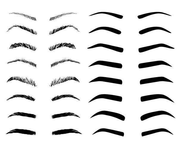 ilustraciones, imágenes clip art, dibujos animados e iconos de stock de conjunto de ilustración de formas de cejas dibujado a mano. varios tipos de cejas. - raised eyebrows illustrations