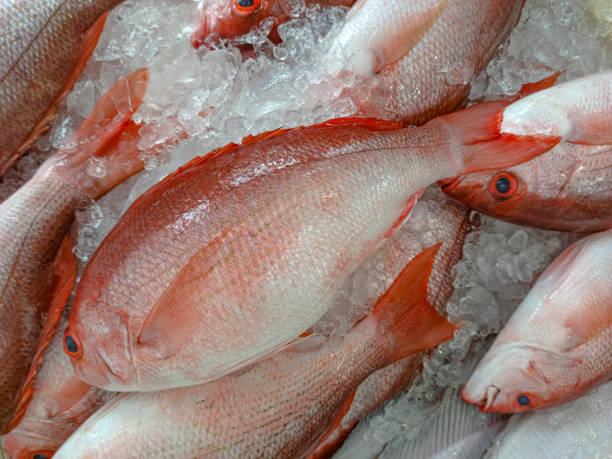 istock Fresh fish on the market 