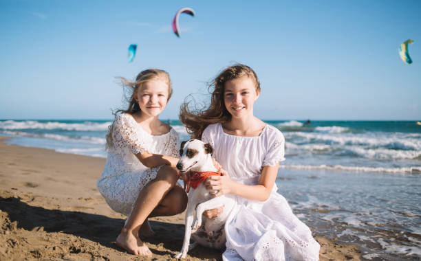 istock Joyful sisters with funny dog on coastline 1288663315