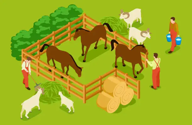 Vector illustration of Animal farm, livestock with horses, goats, sheeps and workers isometric vector illustration