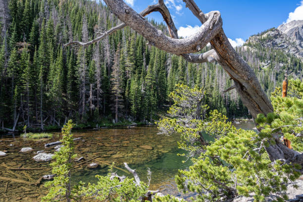 istock Dream Lake Rocky Mountain National Park 1288667845