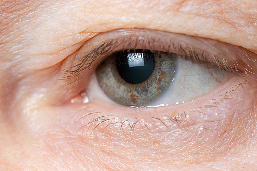 Macro photo of eye