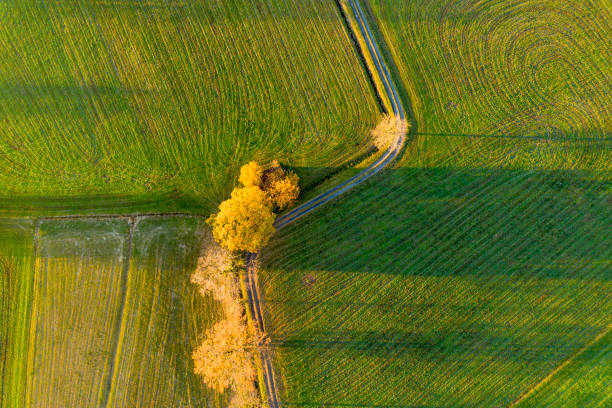 istock Aerial view of a road 1288670427