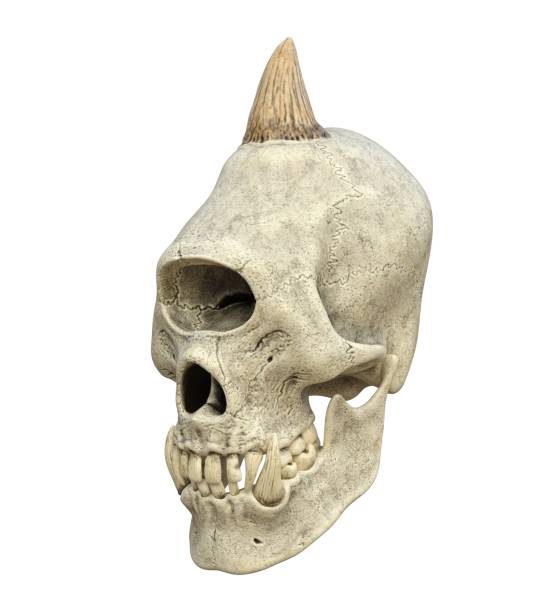 istock Monster skull isolated on white background 3d illustration 1288673979