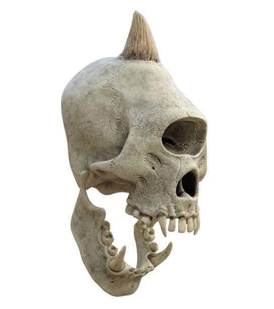 istock Monster skull isolated on white background 3d illustration 1288674016