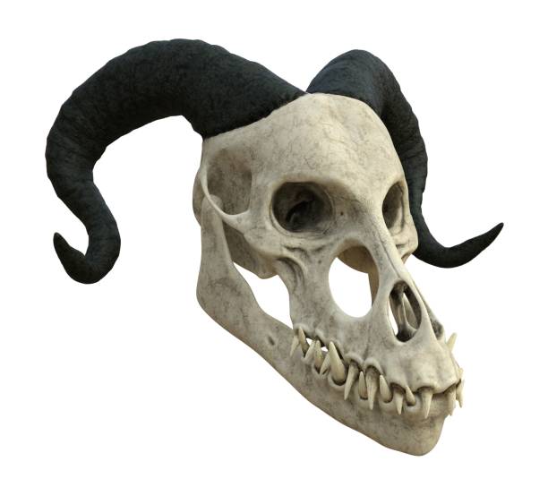 白い背景3dイラストで隔離されたモンスター��の頭蓋骨 - animal teeth animal skull extinct animal bone ストックフォトと画像