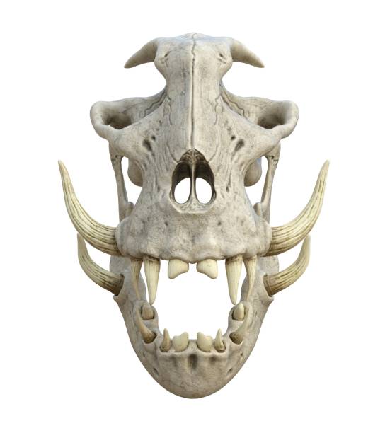 istock Monster skull isolated on white background 3d illustration 1288674093