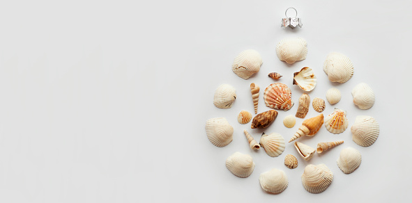 Christmas in July. Christmas flat lay with sea shells on white background