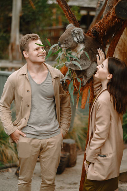 Couple in the reserve is playing with a koala