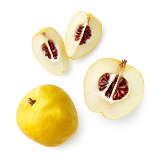 istock Whole and sliced quince isolated on white background 1288681024