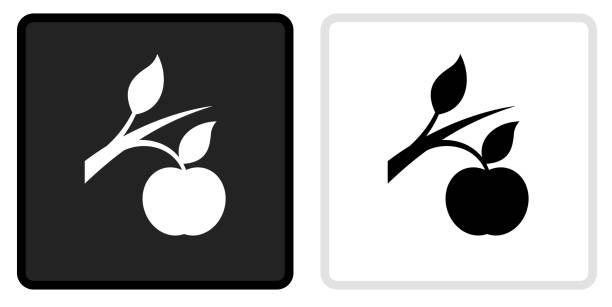 흰색 롤오버와 검은 버튼에 애플 아이콘 성��장 - apple tree branch stock illustrations