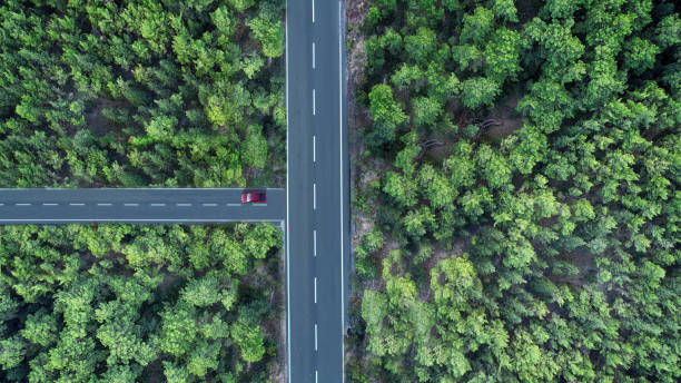 istock Aerial view of beautiful nature 1288683106