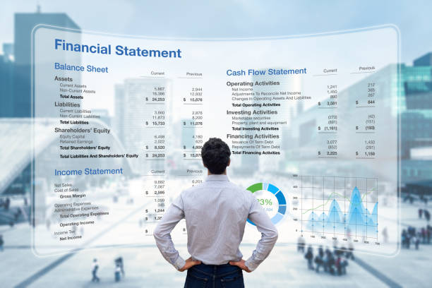 財務諸表を分析する監査役に対し、貸借対照表、損益計算書、キャッシュフロー情報を提供コンサルタントによる企業財務・会計監査業務管理および業務管理 - 株主 ストックフォトと画像