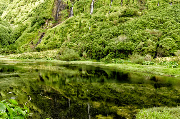 istock Ribeira do Ferreiro Well (Flores-Azores) 1288686169