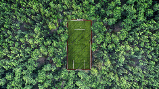 Aerial view of soccer field in forest