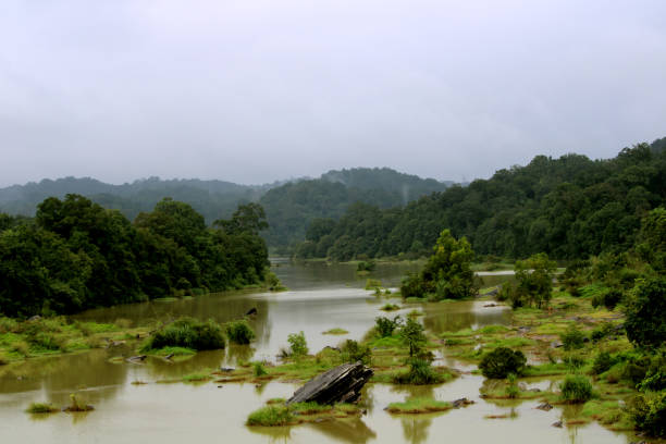 istock Beautiful view of Sharavati river. 1288688618