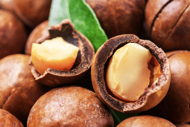 istock Chipped macadamia nut with green leaf, close-up. 1288688735