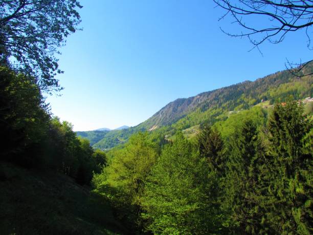 istock view of forest covered slopes under Jelovica plateaou in spring 1288688806