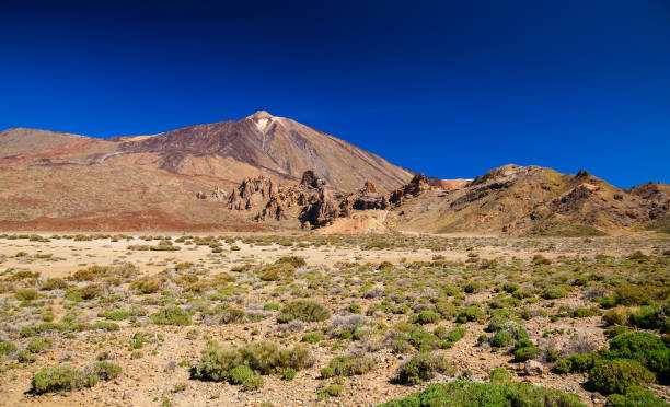 parc national de las canadas - tenerife spain national park canary islands photos et images de collection