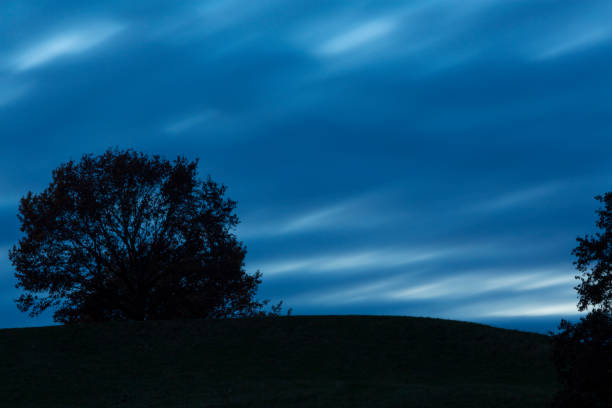 Silhouette of trees on top of a hill during blue hour of a cloudy autumn evening.