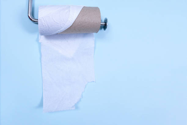 istock toilet paper on blue background 1288699092