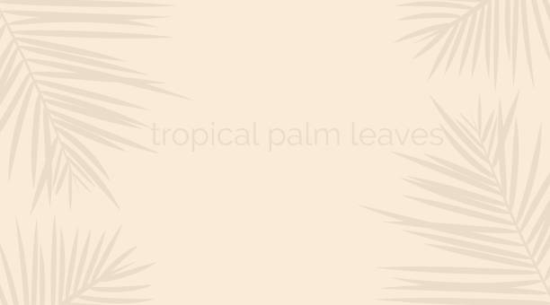 istock Vector shadow from tropical palm leaves on the white floor. Workplace and relaxation on the beach. Sail champagne color 1288700336