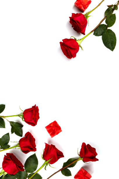 istock Red fresh roses  Traditional holiday gift. 1288700626