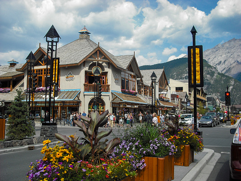 Sunny day in Banff town center with flowers and plants in the foreground of this busy street scene, mountains and blue sky in the background. People are walking and cars are at traffic lights.