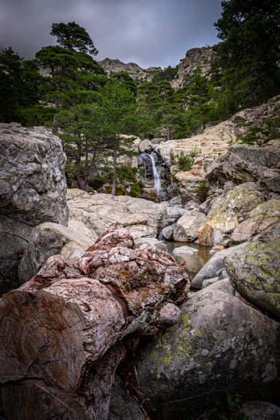 The waterfall Cascade des Anglais and the river Agnone, Vivario, Corsica, France The waterfall Cascade des Anglais and the river Agnone, Vivario, Corsica, France vivario photos stock pictures, royalty-free photos & images