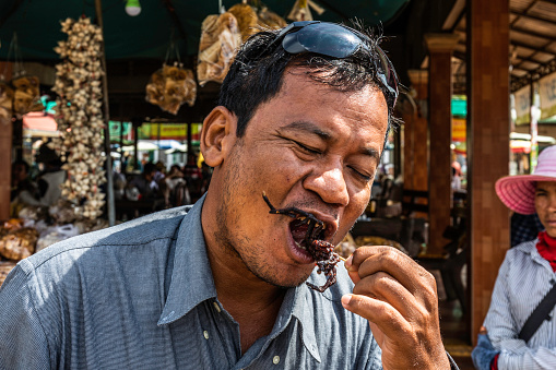 A Cambodian man is snacking on a fried Tarantula spider in a Cambodian Market.
