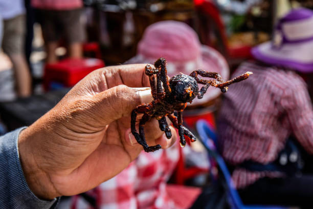 Plate filled with cooked tarantulas garnished with green herbs and spices, offering a unique culinary experience. The dish is presented in a metal tray, highlighting the exotic nature of the ingredients.