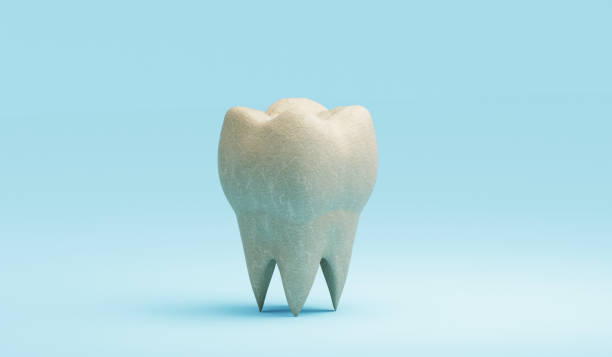 istock textured molar tooth on blue background, 3d illustration 1288711644