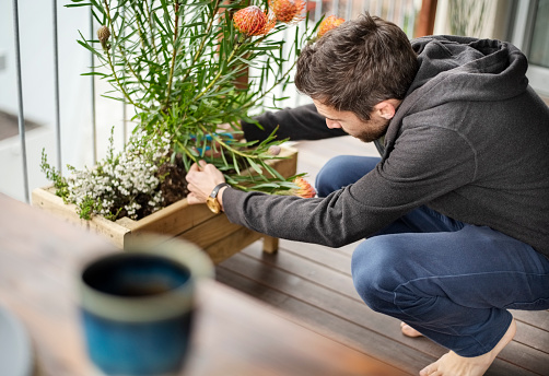 Man cutting flowers from plant in balcony
