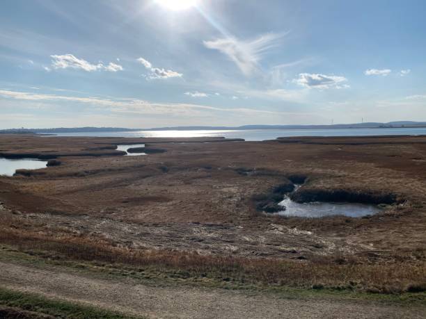 istock Parker River National Wildlife Reserve 1288716080