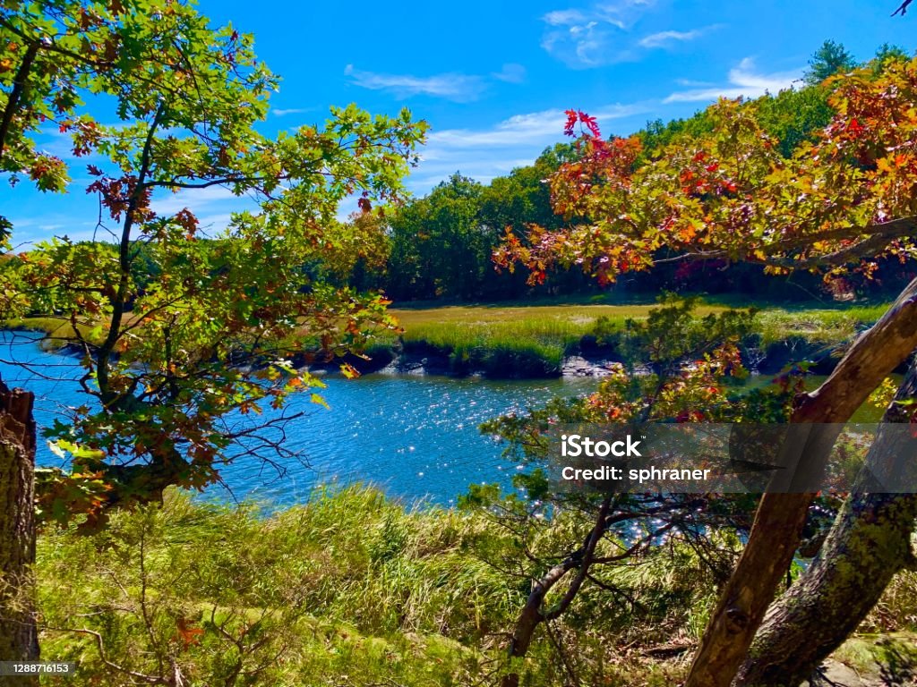 Autumn scene The forests are turning into beautiful colors. Newburyport, USA Massachusetts Stock Photo